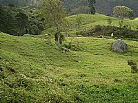 Um  belo sítio em local nobre do Cônego.