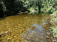 vende um timo sitio  em maca  de cima  com 18 alqueires  com muita gua um Rio dento do sitio valor 700.000.00 mil reais 