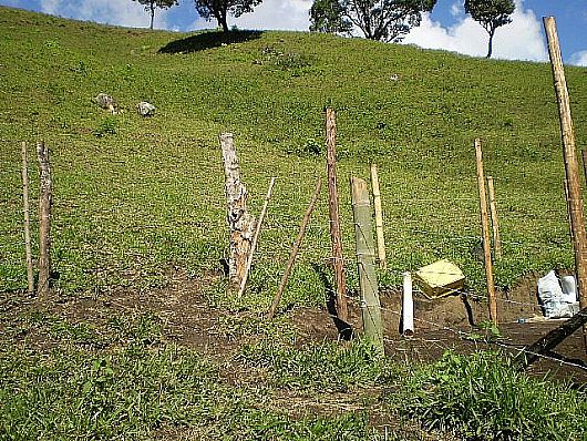 Terreno no Cnego