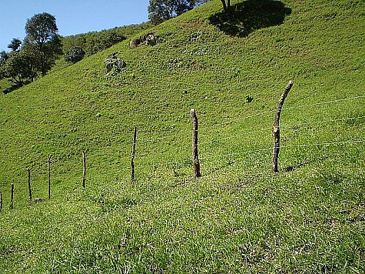 Terreno no Cnego