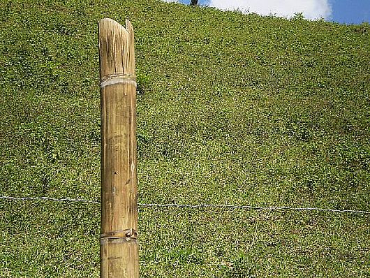 Terreno no Cnego