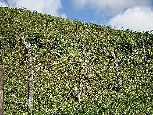 Terreno no Cnego