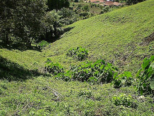 Terreno no Cnego