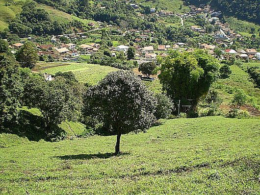 Terreno no Cnego