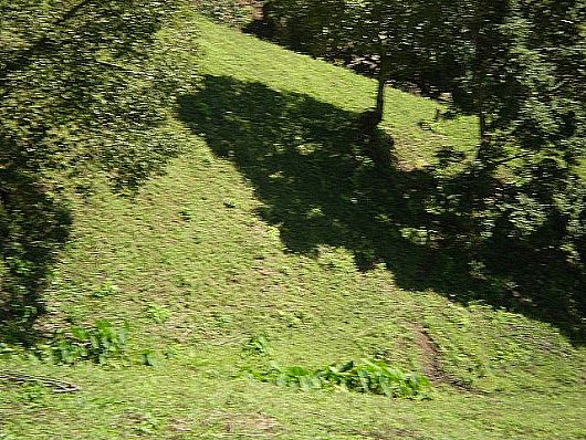 Terreno no Cnego