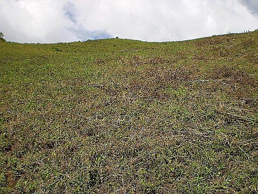 Terreno no Cnego