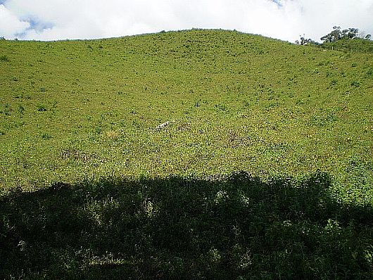 Terreno no Cnego