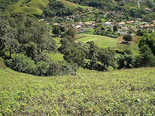 Terreno no Cnego