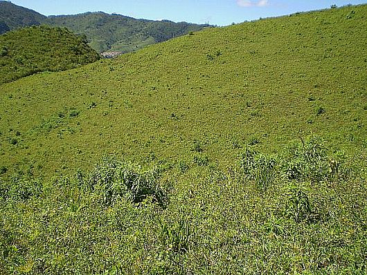 Terreno no Cnego