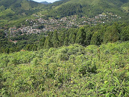 Terreno no Cnego