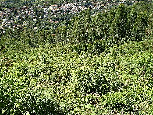 Terreno no Cnego