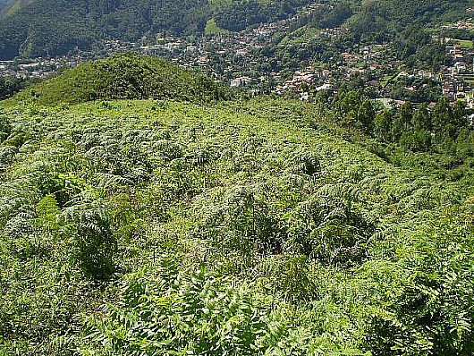 Terreno no Cnego