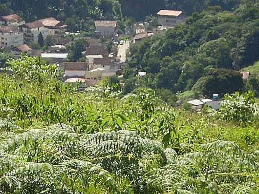 Terreno no Cnego